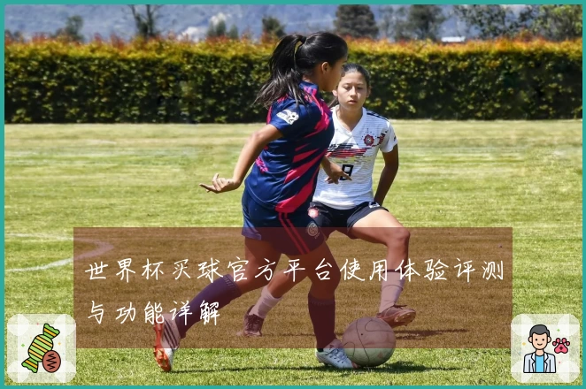 世界杯买球官方平台使用体验评测与功能详解