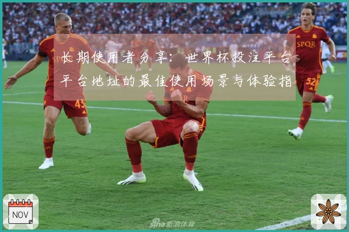 长期使用者分享：世界杯投注平台平台地址的最佳使用场景与体验指南