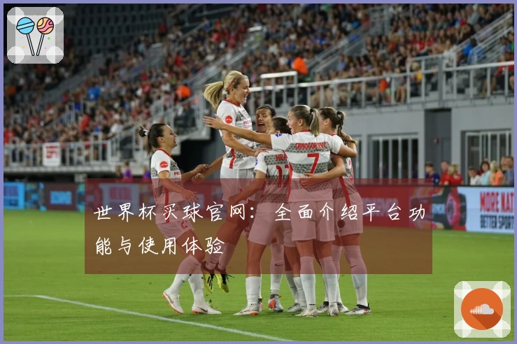 世界杯买球官网：全面介绍平台功能与使用体验
